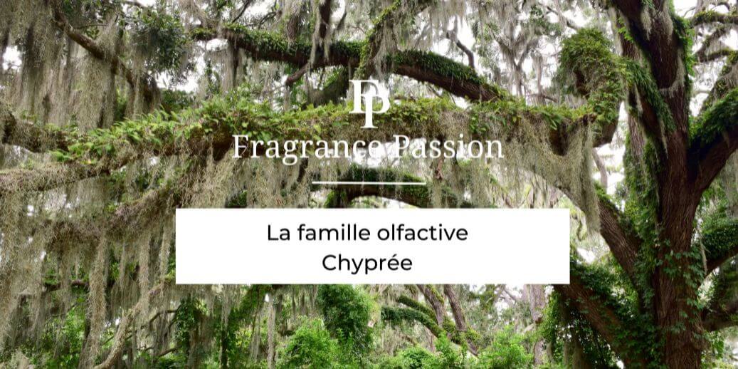 La Famille olfactive Chyprée dans la parfumerie – Fragrance Passion