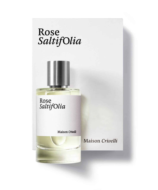 ROSE SALTIFOLIA - MAISON CRIVELLI